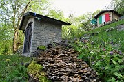 89 Alla tribulina di Curte